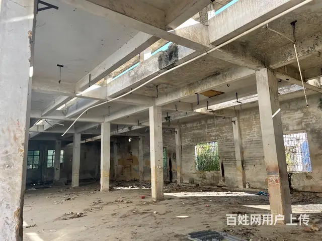 厂房仓库出租 - 图片 5