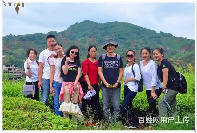厦门评茶师培训厦门评茶员培训去哪学? - 图片 2