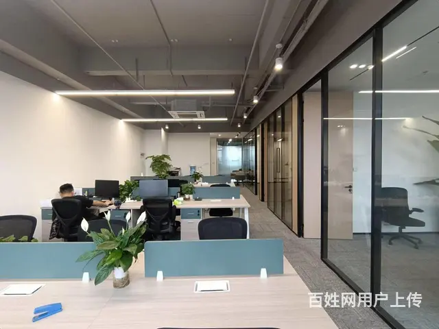 泰豪数娱中心，4号6号线华中南路，精装拎包出租，多套可挑选！ - 图片 4