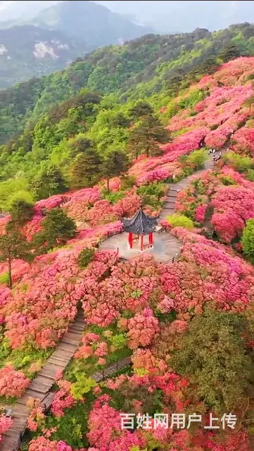 不想结婚的恋爱都是耍牛氓，想结婚的女士看过来 - 图片