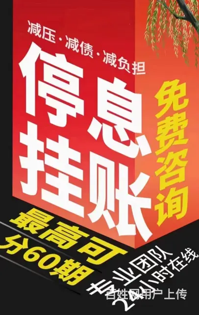 泉州*停息分期个性化分期 - 图片 1