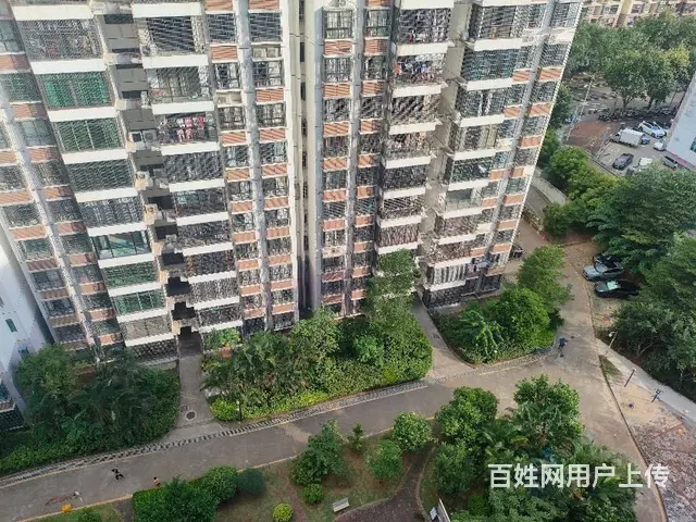 国兴商圈英才隔壁     美兰新苑3房 - 图片 12