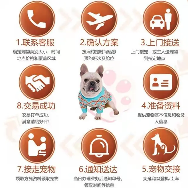 池州宠物托运（猫狗）邮寄速运空运 （2023今日 推荐运输） - 图片 2