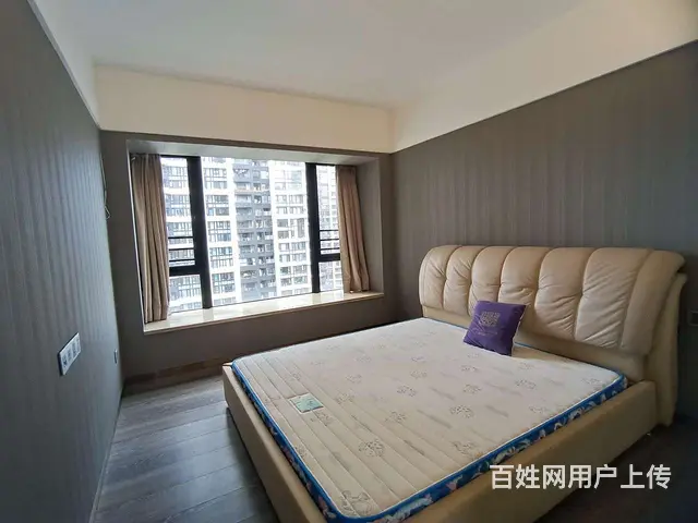 中信红树湾 东南向 电梯中层 精装5房 看前山河景 - 图片 9