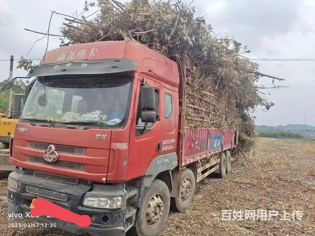 东风柳汽 霸龙重卡 高栏/栏板 国3 - 图片