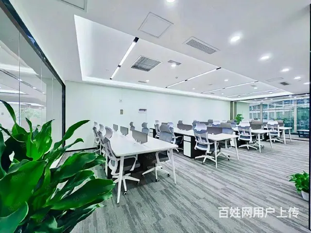 专租正大国际！55平！65平！88平！98平！100多平 - 图片 4