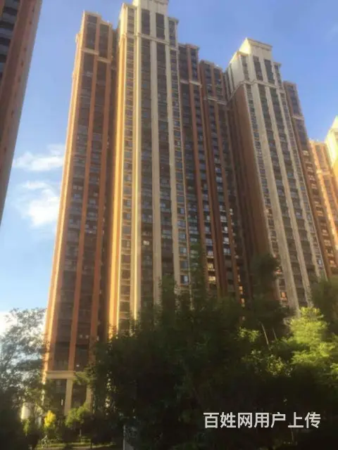 买房  师专附小 精装三室 只要95万 次新小区 - 图片 11