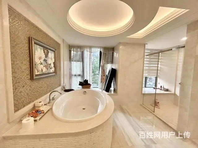 中信红树湾旁 南湾国际 一楼带花园 豪华装修 齐全 - 图片 9