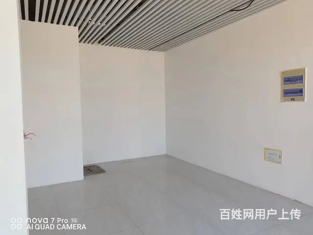 7676（七P）个人城北区宁张路陶昕学校对面空铺出租 - 图片 4