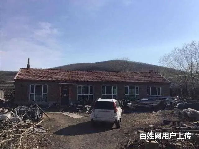 胜利林场鱼塘山庄出售 - 图片 4