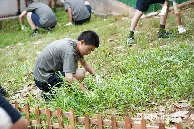 黑龙江哈尔滨不听话孩子行为矫正学校 军事化管理学校 - 图片 5