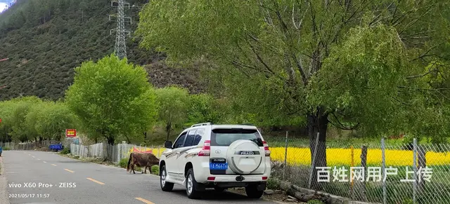 丰田Land Cruiser Prado [普拉多](进口) - 图片 4