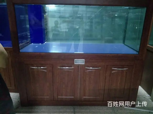 专业清理公司，家庭，大型鱼缸。各类观赏鱼 - 图片 10