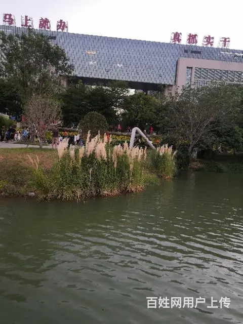 组合新家庭 - 图片 2