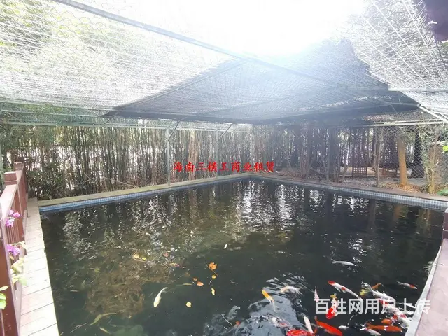 （三横王）占地2亩，1000平大独栋，值得拥有 - 图片 12