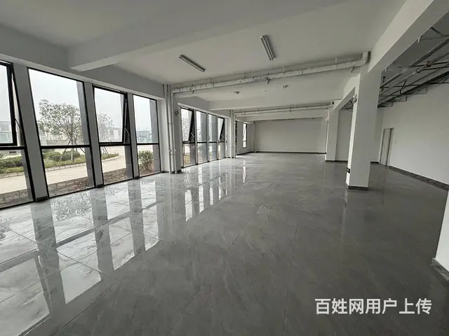 出租蒲江寿安中德产业园10000万平厂房出租 - 图片 8
