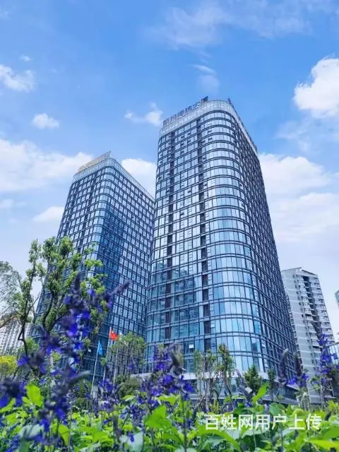 地铁口丨5A甲级写字楼丨豪华装修丨直租无中介费 - 图片 6