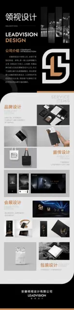 安徽领视设计，淮南企业logo品牌VI设计策划 - 图片 2