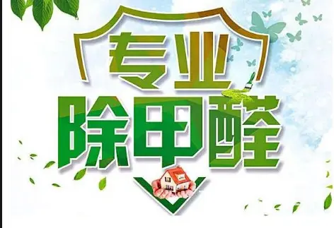 翔安、集美甲醛治理，除甲醛除苯，空气净化 - 图片 1