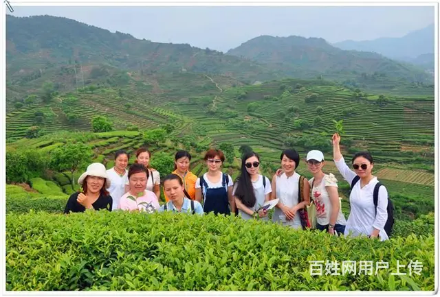 上海茶艺培训学员问天晟茶艺培训学校：茶艺证书怎么考 - 图片 5
