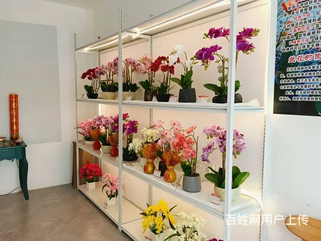 （51旺铺推荐）南山景区20平礼佛鲜花坊店转让 - 图片 8