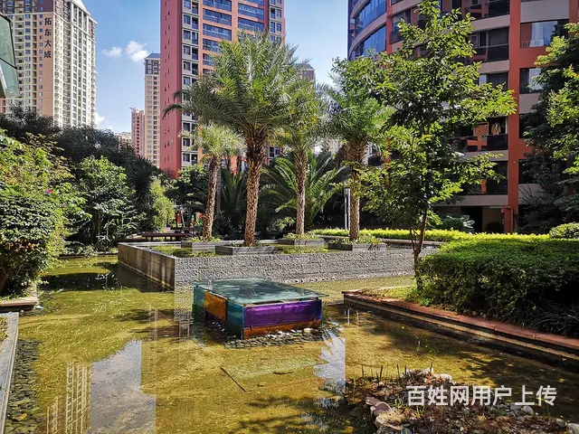 百大城市理想2区1室1厅1卫38万46.29 - 图片 12
