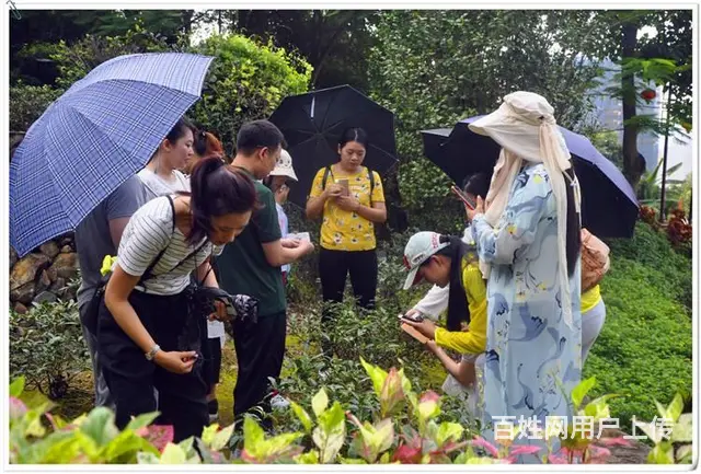 问天晟茶艺培训学校：中级茶艺师培训班多少钱 - 图片 10