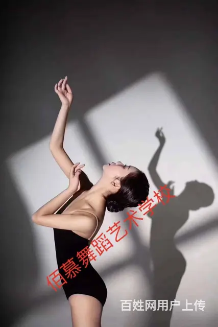 舞蹈培训班多少钱一节课   零基础哪里可以学 - 图片 9