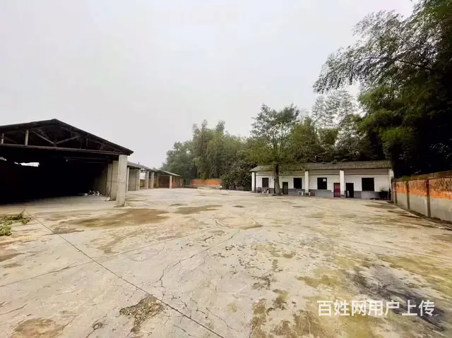 （老板本人）望城区独门独院厂房/仓库房东直租6758 - 图片 1