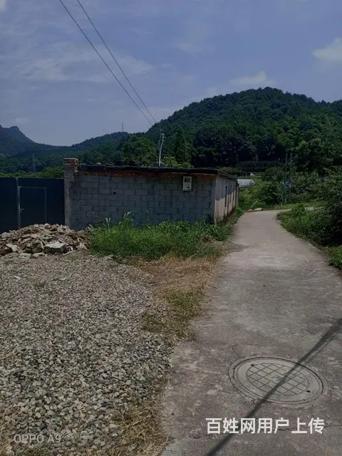 1000平场地出租或合作 - 图片 2