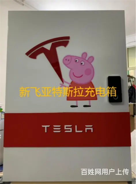 特斯拉汽车充电器保护箱 - 图片 3
