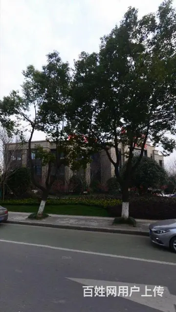急售武进区湖塘新城郡未来售楼处（商业独栋）豪华装修！ - 图片 5