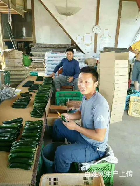 出国高薪你也行—荷兰奶粉厂一保签出境一找蒋老靠谱 - 图片 7