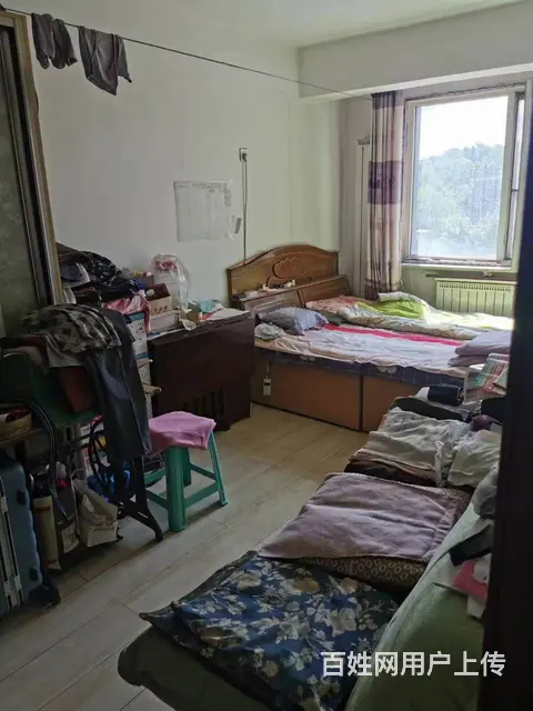 虎万新城 一室一厅 南向正房 电梯房 楼层好 采光好 - 图片 2