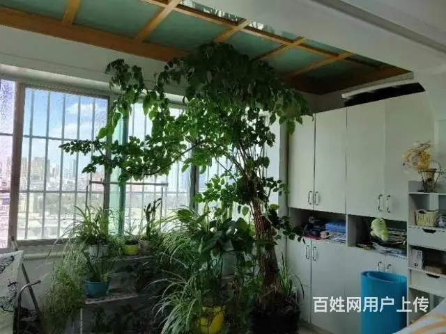 建设路上 繁华路段的房子
单价6800 - 图片 5