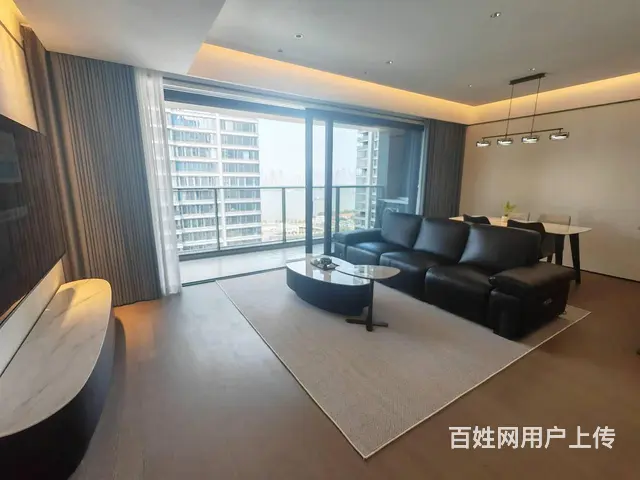 武昌万象城，武昌滨江，绿地606，徐家棚地铁口，宸 - 图片 3