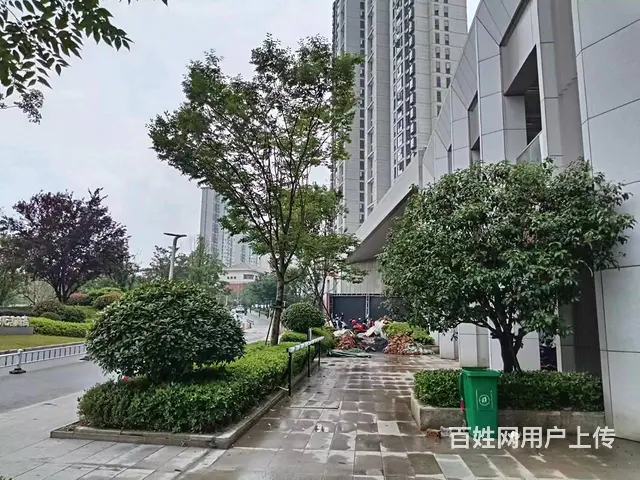 （老板本人）麓谷高档小区商业街门面出租（送装修期）6389 - 图片 4