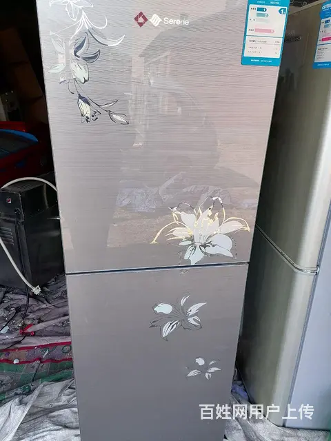 品牌冰箱，双人床，大沙发，大型冷冻展示柜 - 图片 4