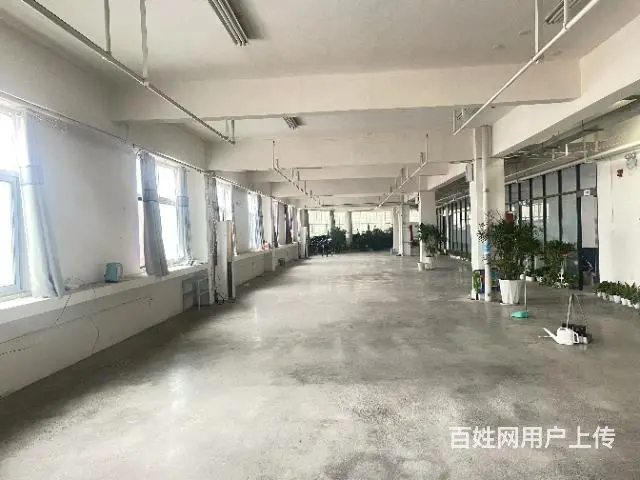 特价房出租 60平 106平 152平 269平 - 图片 2