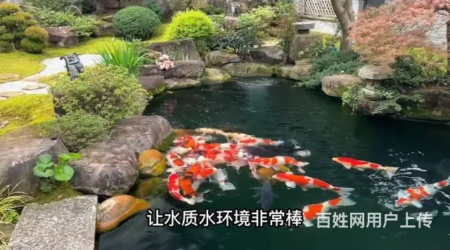 广州鱼池水泵维修，假山水泵维修，鱼池过滤维修，电话 - 图片 5