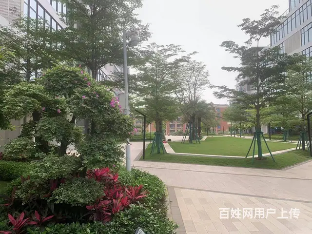 （51旺铺推荐）美兰区新埠岛碧桂园高端245平办公室出租 - 图片 5