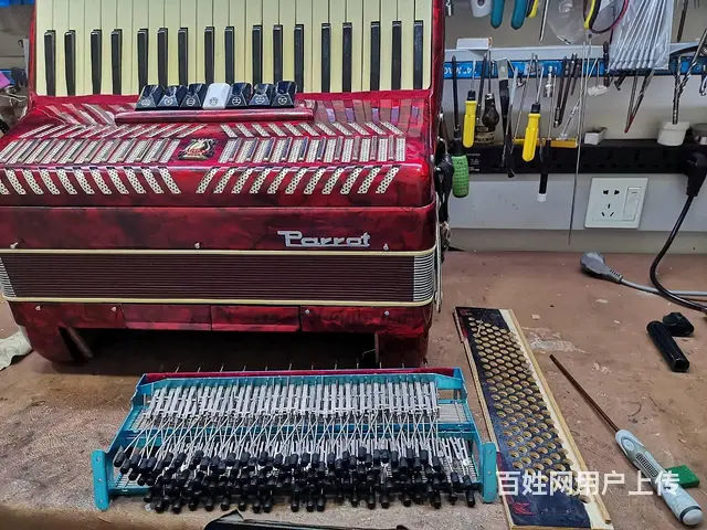 金杯手风琴维修服务，专业手风琴维修乐器维修 - 图片 3