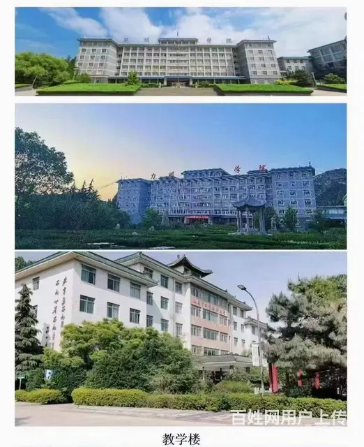 2023年济宁卫校招生层次及对象 - 图片 3