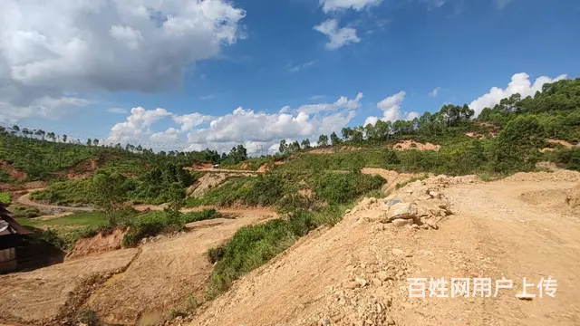 出租广东韶关曲江空地30亩 山林 可做农庄 农家乐红露营地 - 图片 3