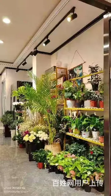 7586（七P）个人城中区莫家街马忠商务宾馆对面花店转让 - 图片 3