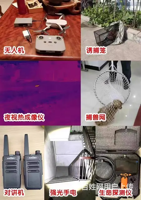 猫咪走丢了如何找回来洛阳专业找猫团队真的能找到吗 - 图片 3