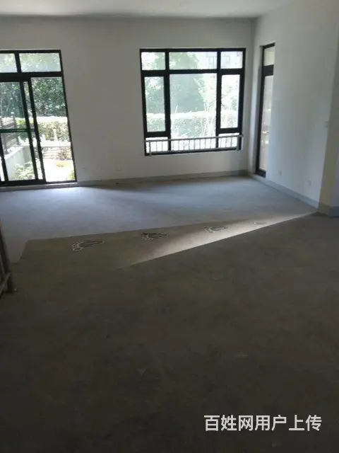 恐龙园板块长兴秀江南别墅群 沿河边别墅证满二 好看 - 图片 7