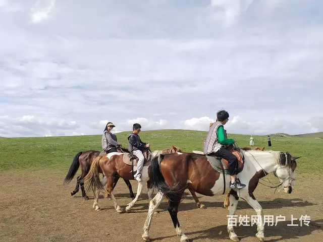 呼伦贝尔漠河阿尔山秋季旅游包车师傅排名 - 图片 3