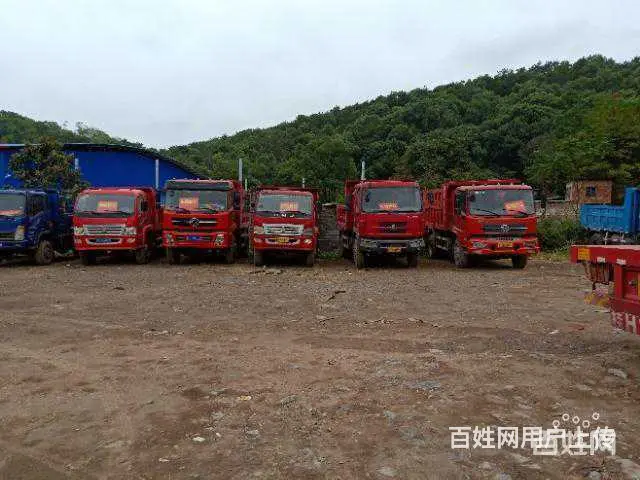几台精品乘龙,东风,重汽王牌等单桥自卸车转让 - 图片 6
