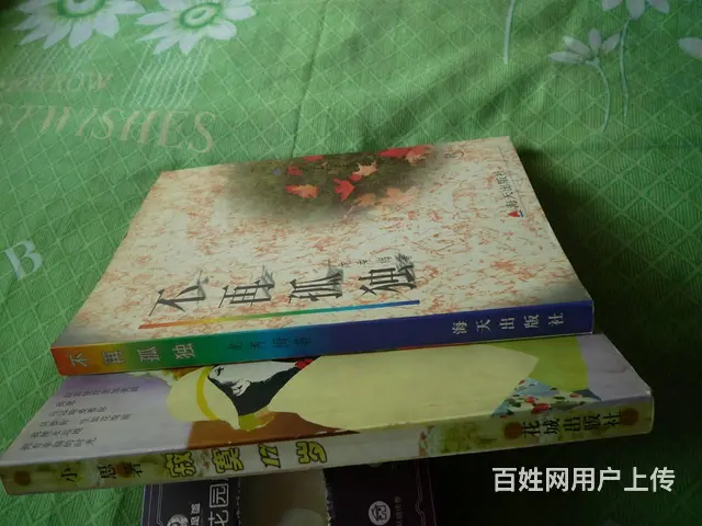 赔钱转让收藏20年青少年特喜欢的小说 - 图片 2
